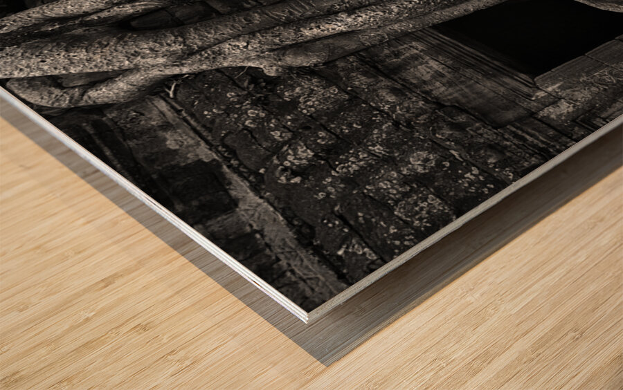 Angkor Wat Temple Complex III Wood print