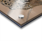 Leopard Lounge Acrylic print