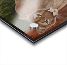 Elusive Acrylic print
