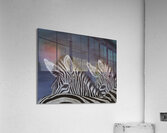 Perfect Cover Acrylic Print