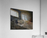 Alone Acrylic Print
