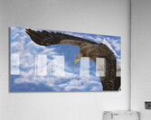 Updraft Acrylic Print