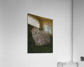 Feeding Time Acrylic Print