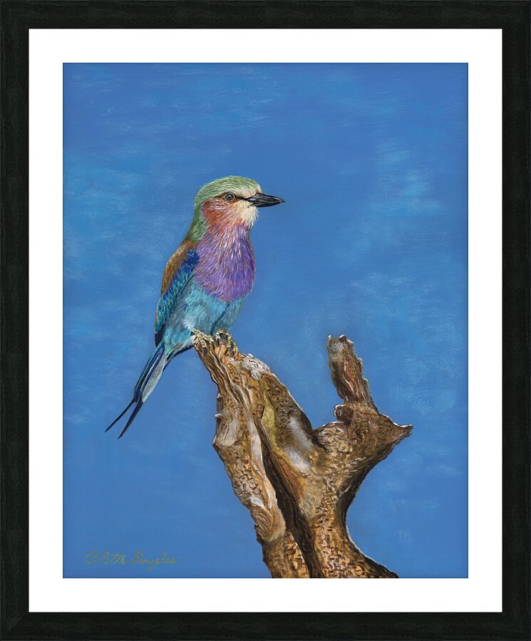 A Birds eye view Picture Frame print
