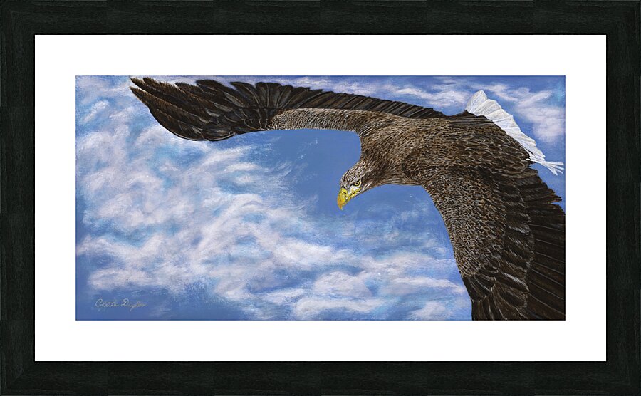 Updraft Picture Frame print