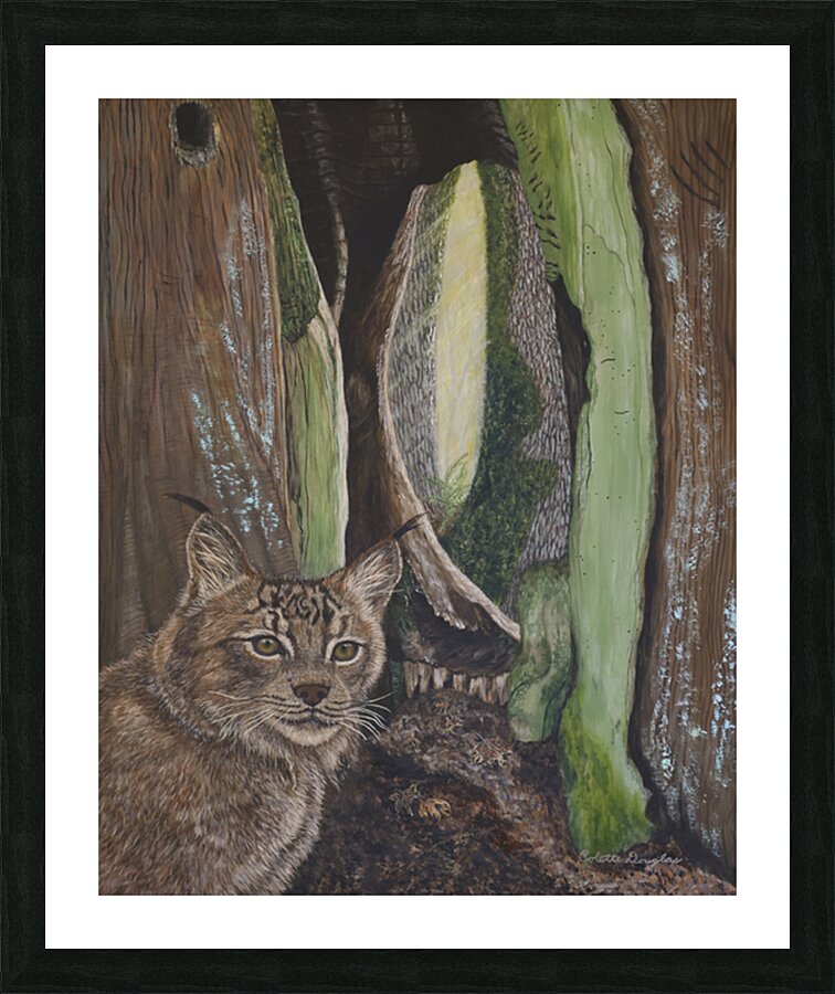 The Curious Picture Frame print