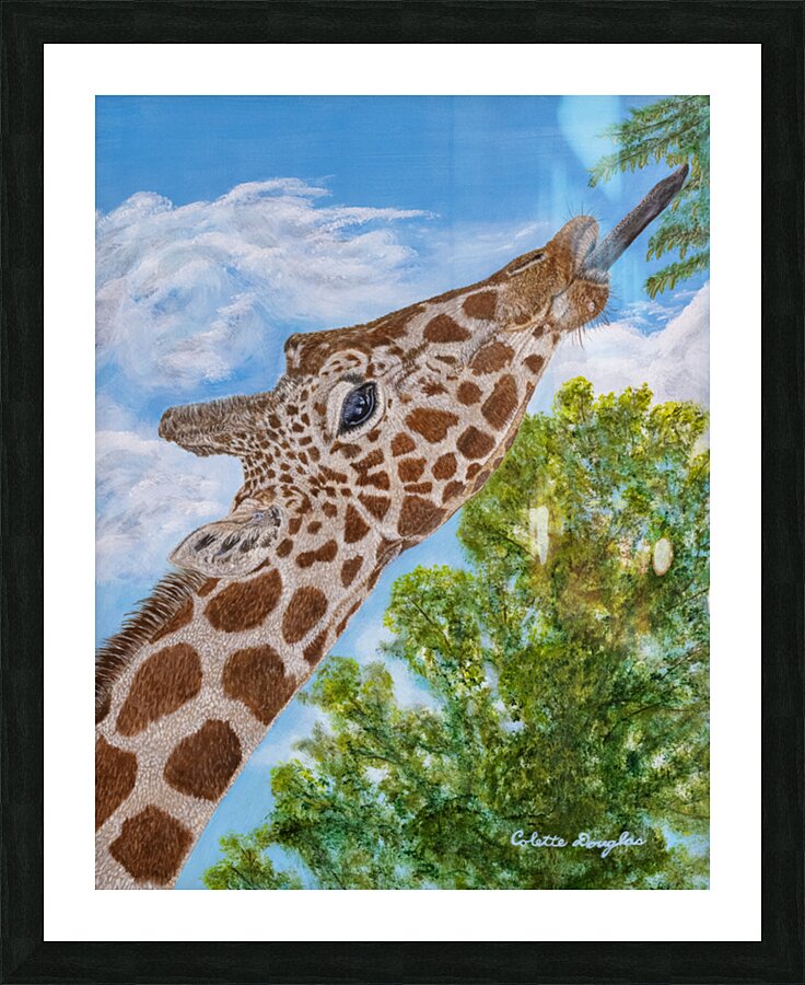 Treetop Feast Picture Frame print