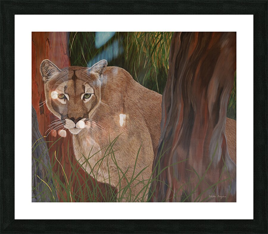 Elusive Picture Frame print