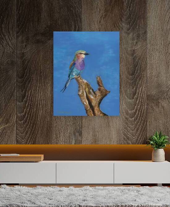 A Birds eye view by Colette Douglas