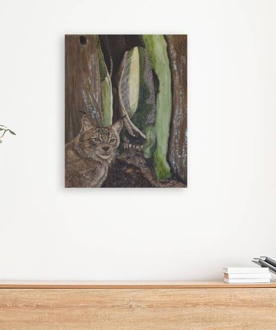The Curious by Colette Douglas