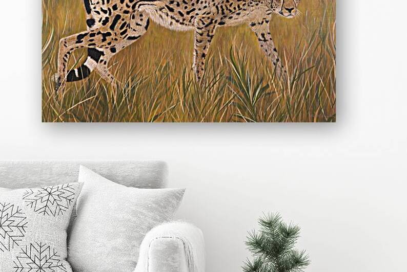 Prowler by Colette Douglas