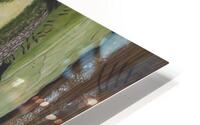 The Curious HD Metal print