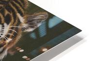 Rear View Impression metal HD