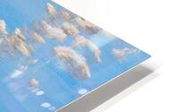 Cool Shades HD Metal print