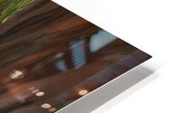 Elusive HD Metal print