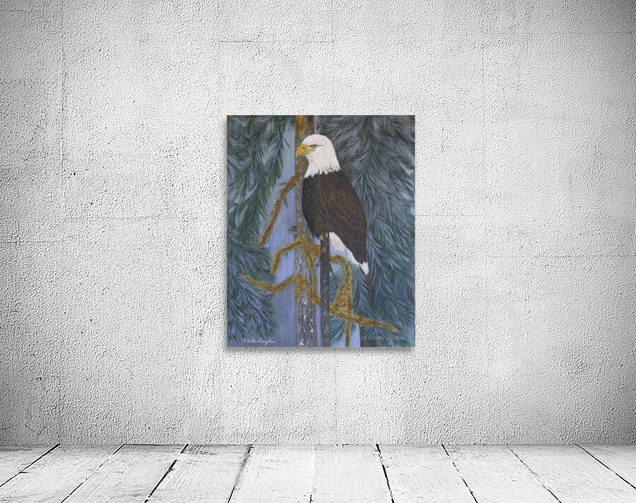 Perfect Perch Wall Preview
