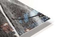 Dreaming HD Metal print