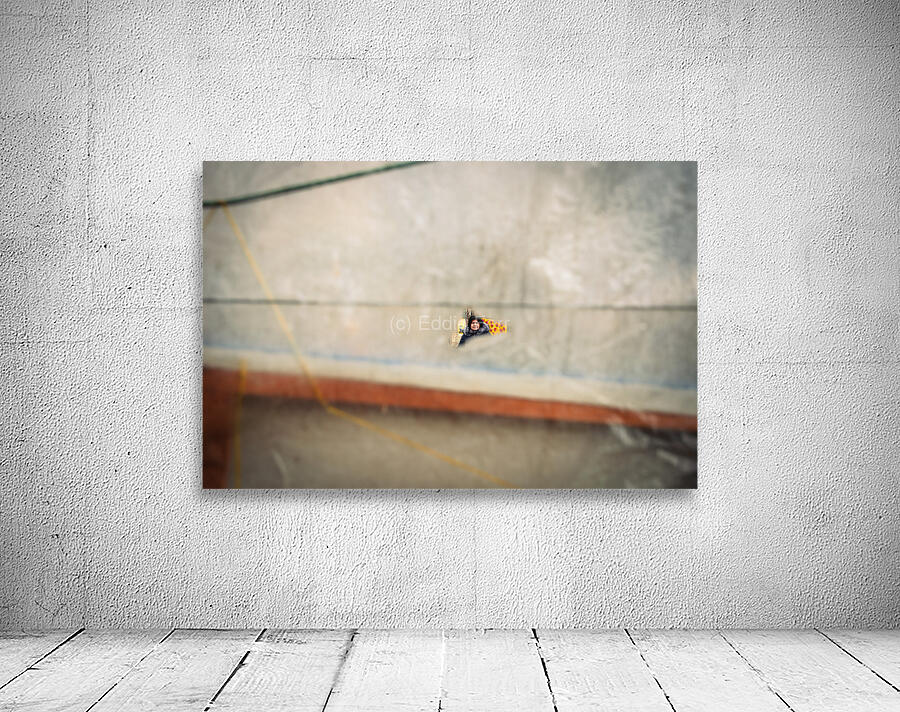 Peeping Wall Preview