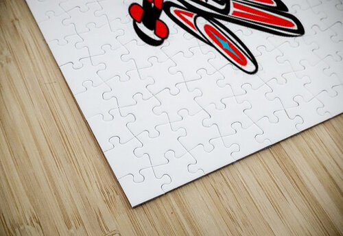 Dragonflies J Blakis puzzle
