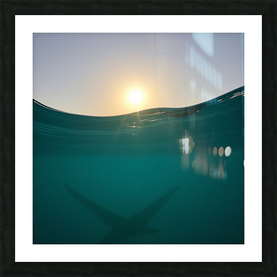 Aquatic Realm Picture Frame print