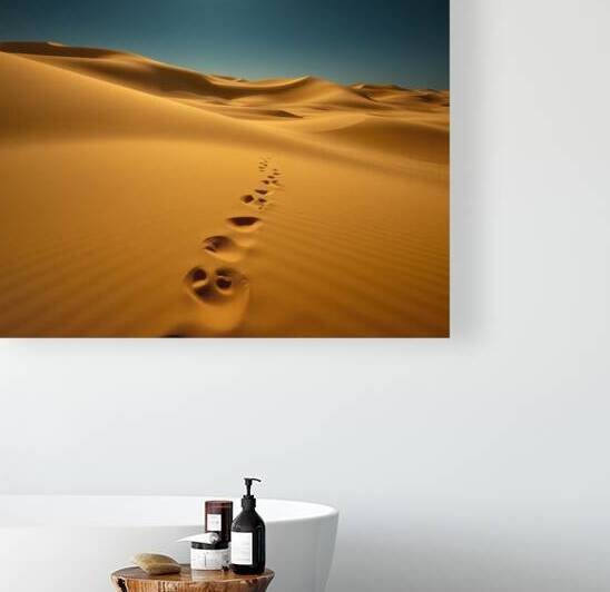 Desert Dreams by VisionaryClick