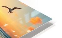 Seagulls Sunset HD Metal print