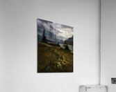 Bow Lake 9 Acrylic Print