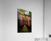 Fushimi Inari Acrylic Print