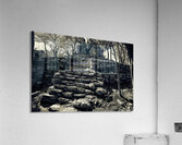 Mayan Ruins Acrylic Print