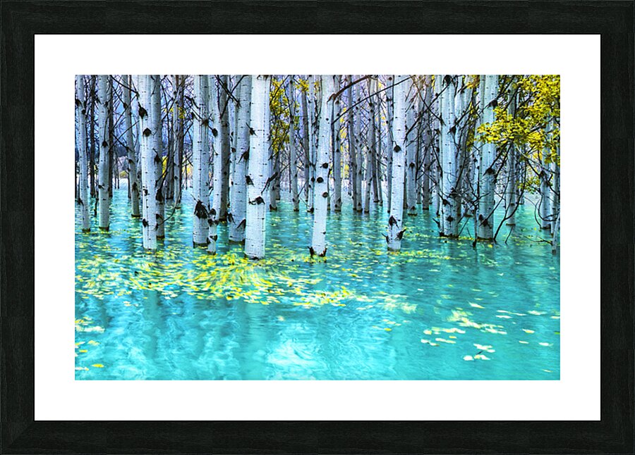 Drowned Aspen Picture Frame print