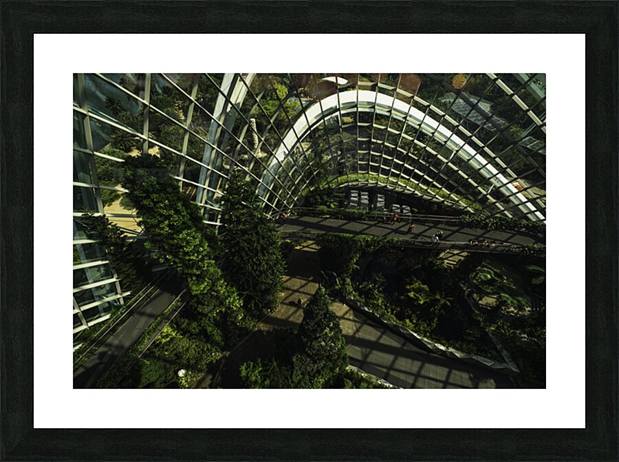Indoor Garden Picture Frame print