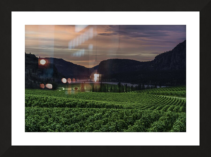 Vineyard Picture Frame print