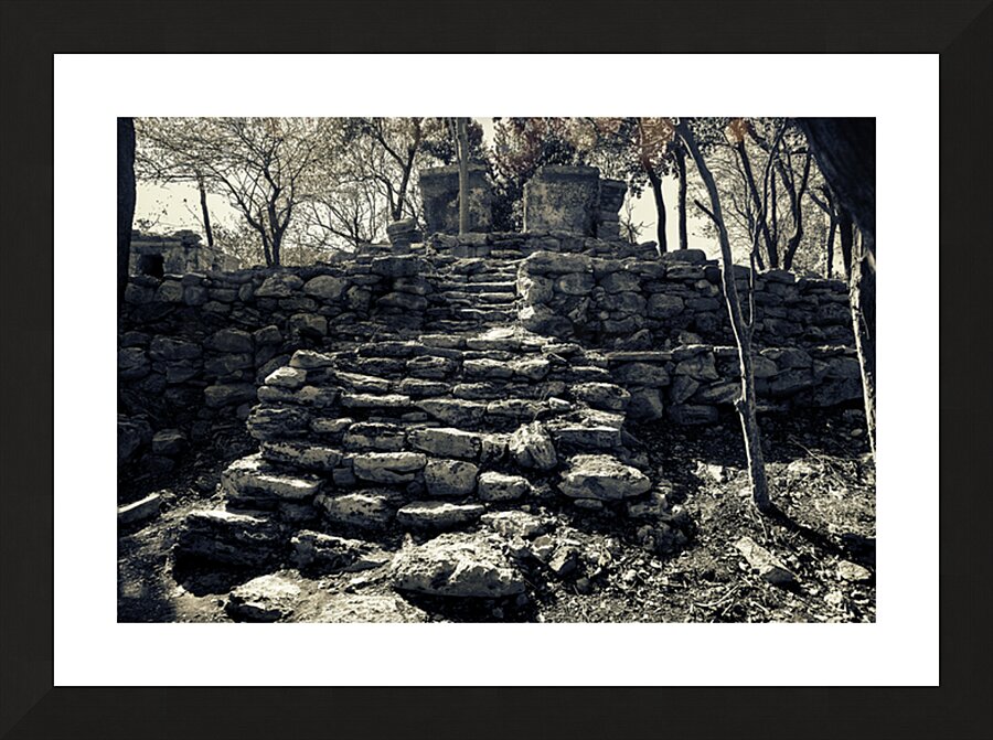 Mayan Ruins Picture Frame print