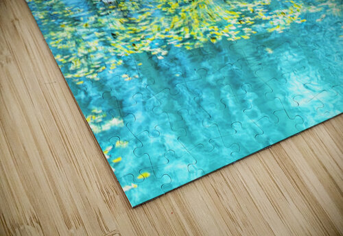 Drowned Aspen Leighton Ramos puzzle
