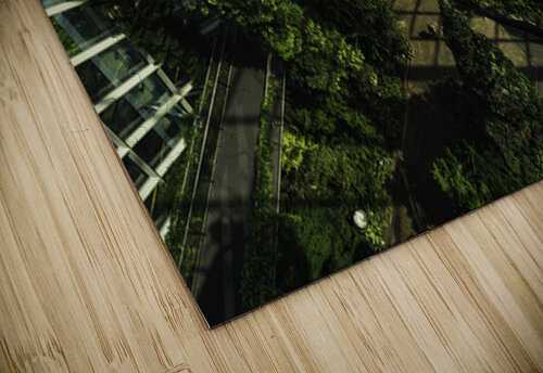 Indoor Garden Leighton Ramos puzzle