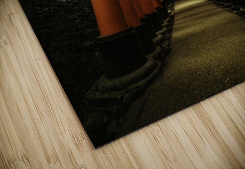 Fushimi Inari Leighton Ramos puzzle
