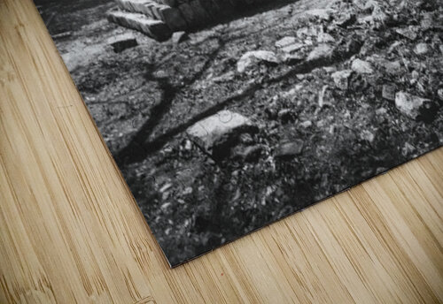 Mayan ruins 2 Leighton Ramos puzzle