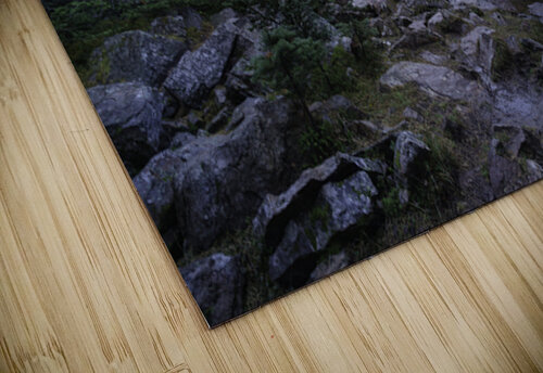 Lake Agnes Winter Leighton Ramos puzzle