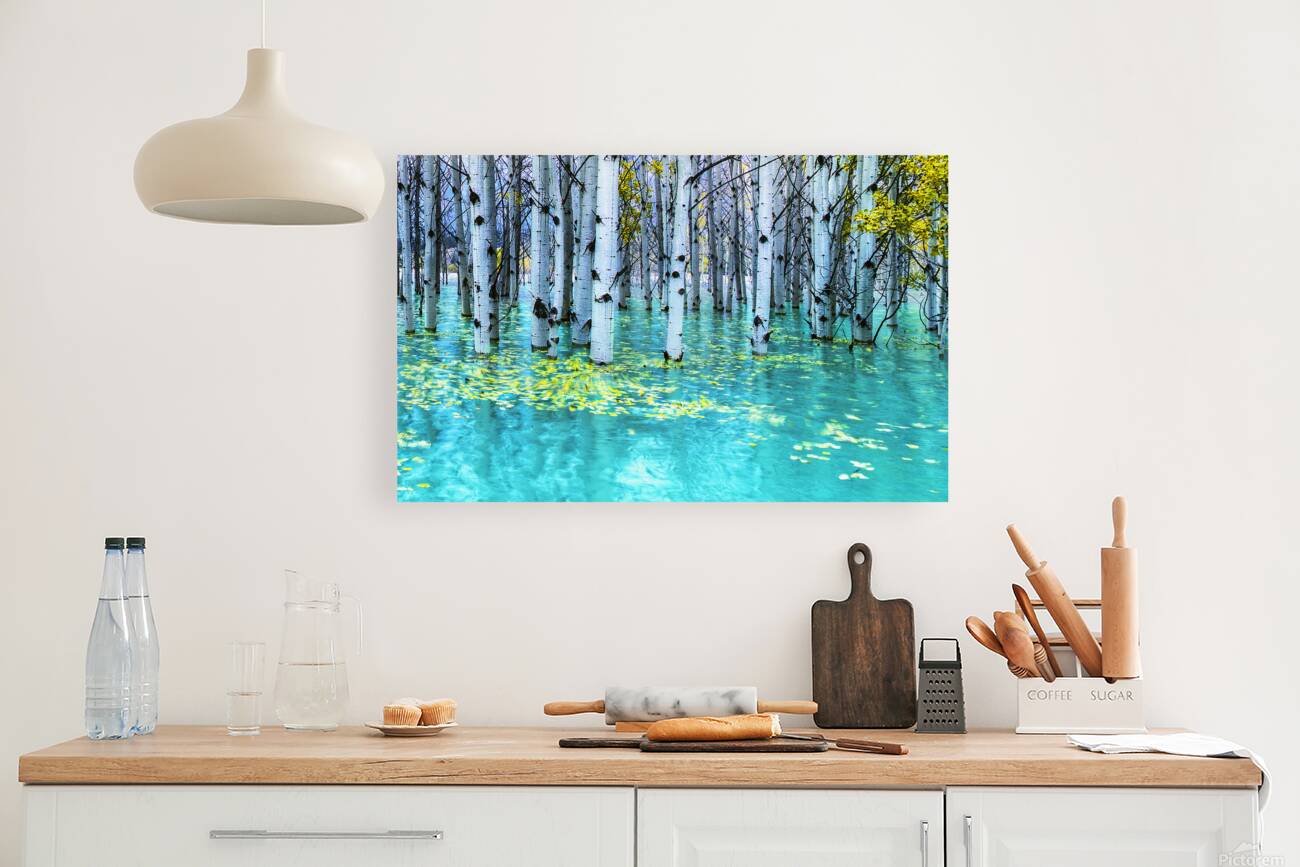Drowned Aspen Reproduction