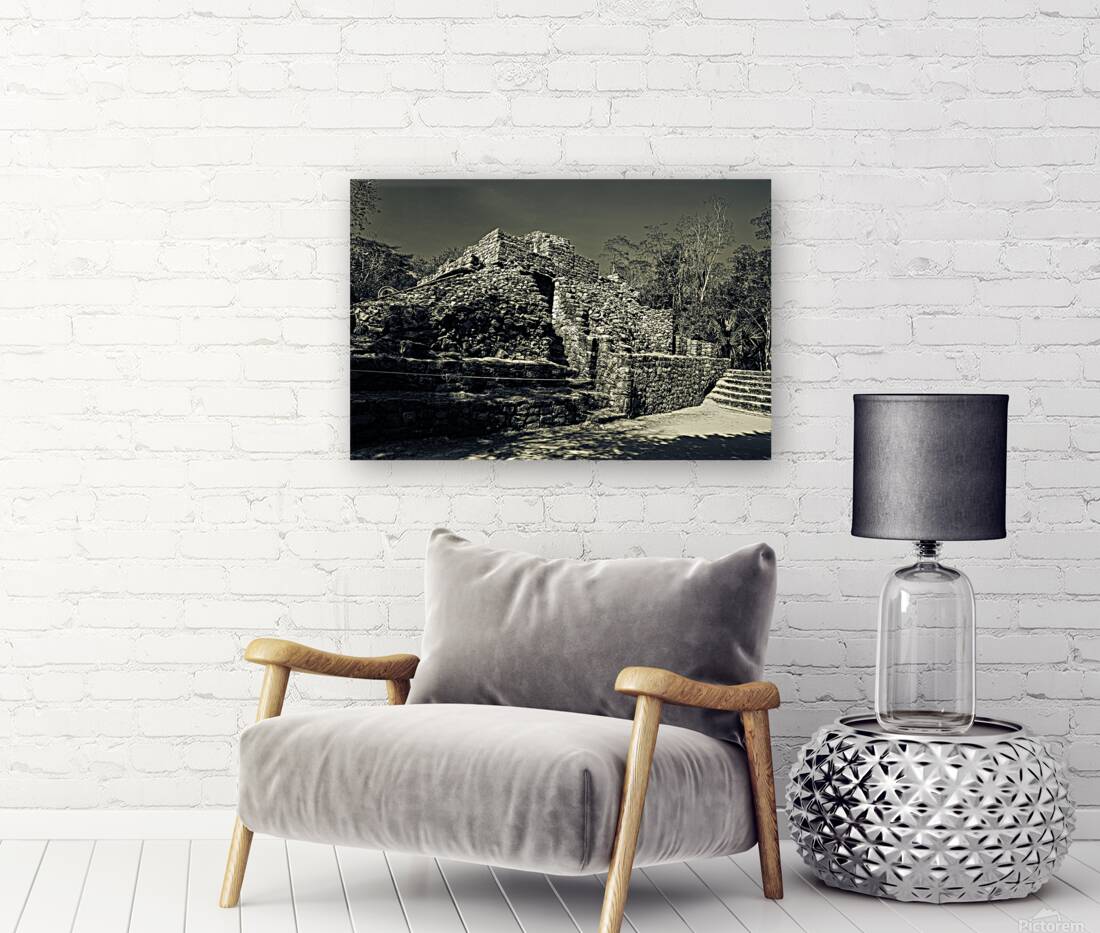 Mayan Ruins 3 Reproduction