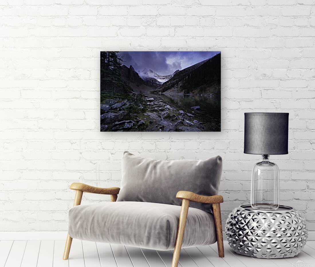 Lake Agnes Winter Reproduction
