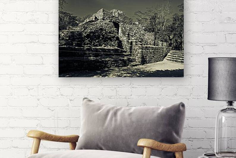 Mayan Ruins 3 Reproduction