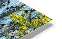 Drowned Aspen HD Metal print