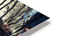 Mayan Ruins HD Metal print