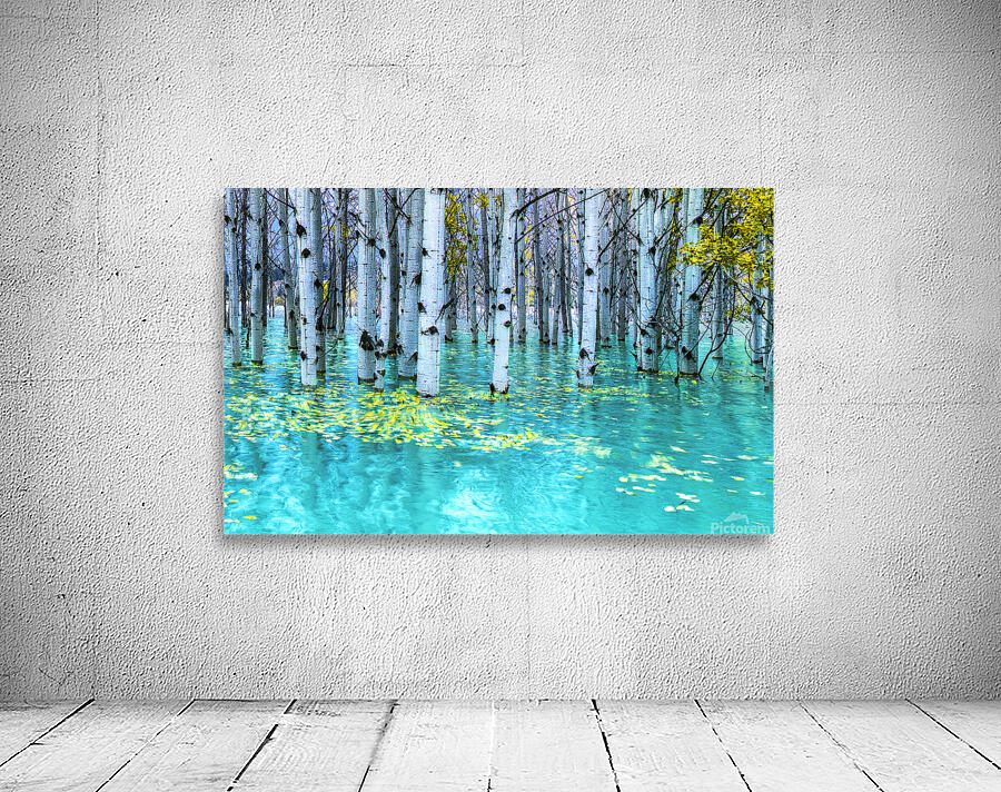 Drowned Aspen Wall Preview