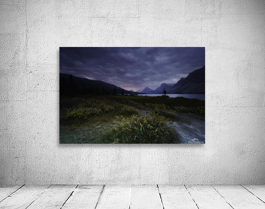 Bow Lake 7 Wall Preview