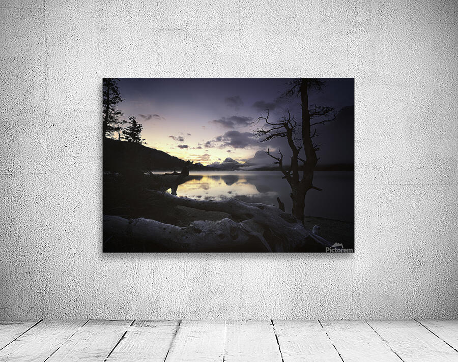 Bow Lake Wall Preview