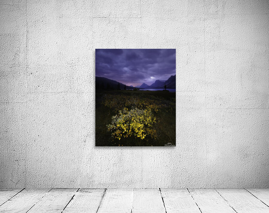 Bow Lake 8 Wall Preview