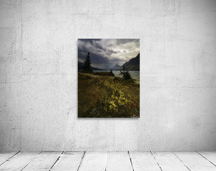 Bow Lake 9 Wall Preview