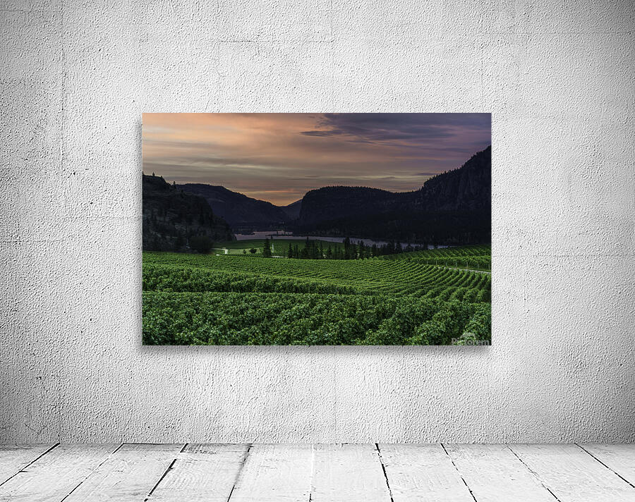 Vineyard Wall Preview